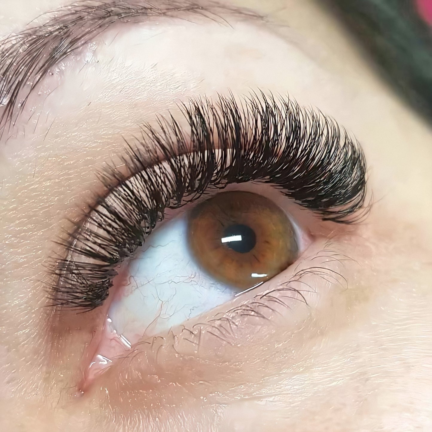 Miami Classic Lash Extensions